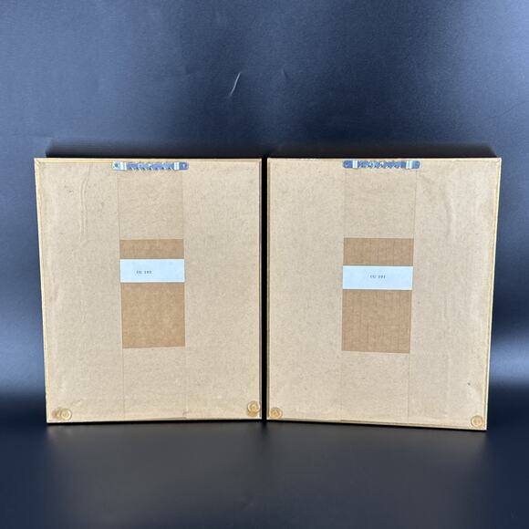 Set of 2 Carolyn Shores Wright Blue Bird Rectangle Frames Signed & Matted - Picture 6 of 14